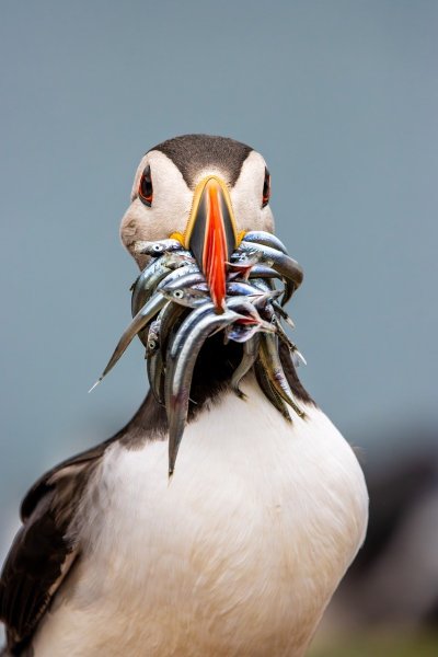 power tools drill saw